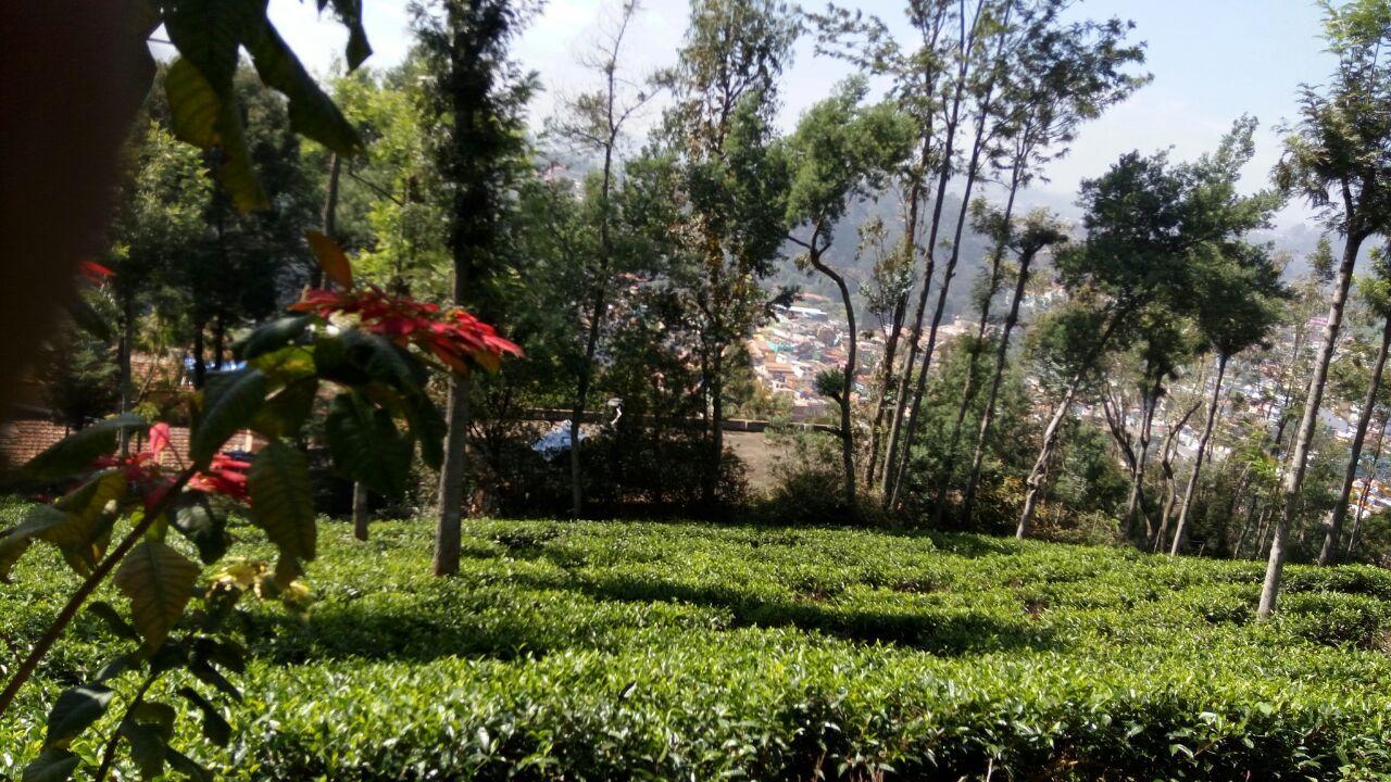 Ywca Wyoming Hotel Coonoor Buitenkant foto